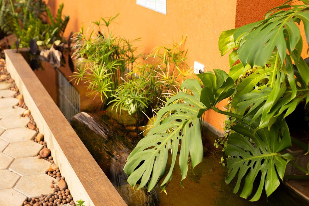 RESORT PARTICULAR, 6 quartos, 16 pessoas, piscina, churrasqueira, casa da árvore, área EXCLUSIVA Foz do Iguaçu Exterior foto